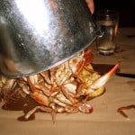 Mermaid Inn crabs 2