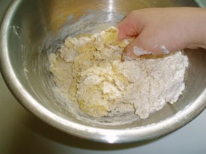 the shaggy dough
