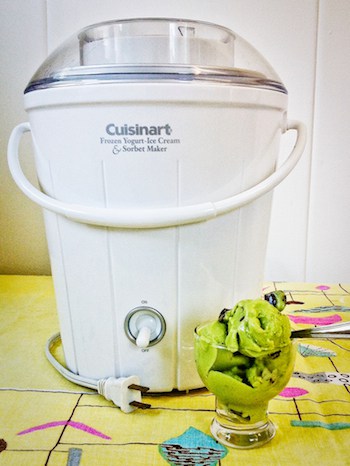 why do i own this? cuisinart ice cream maker