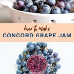 concord grape jam