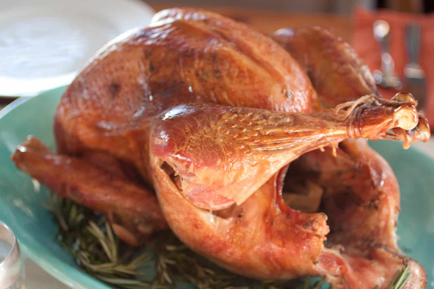 roasted brined Thanksgiving turkey