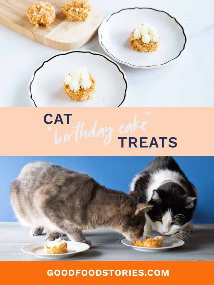 cat birthday cake treats