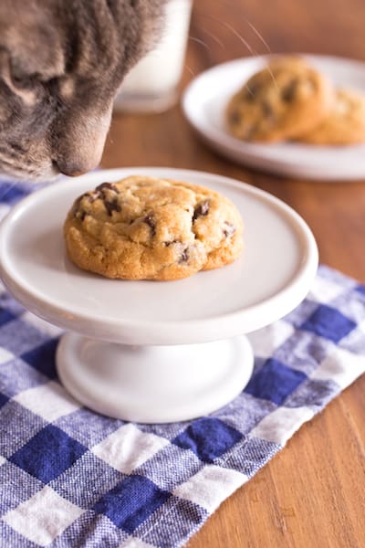 Freeze-Ahead Chocolate Chip Cookies (For Single Servings Any Time!)