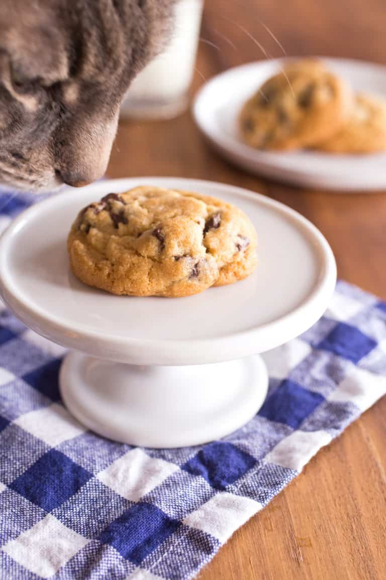 FreezeAhead Chocolate Chip Cookies (For Single Servings Any Time!)