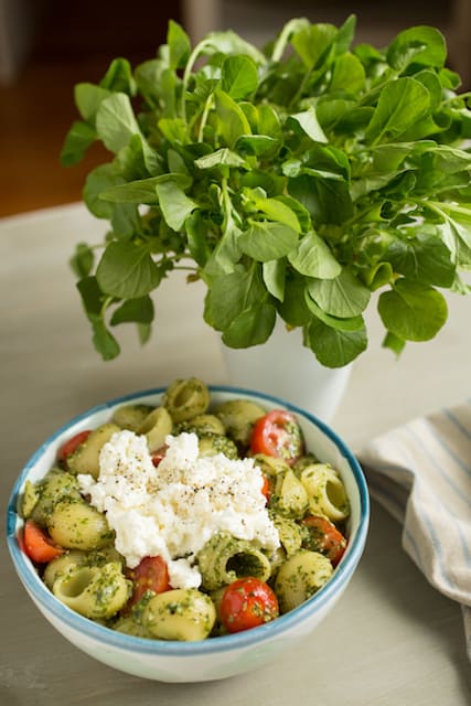 watercress pesto in pasta with ricotta and tomatoes