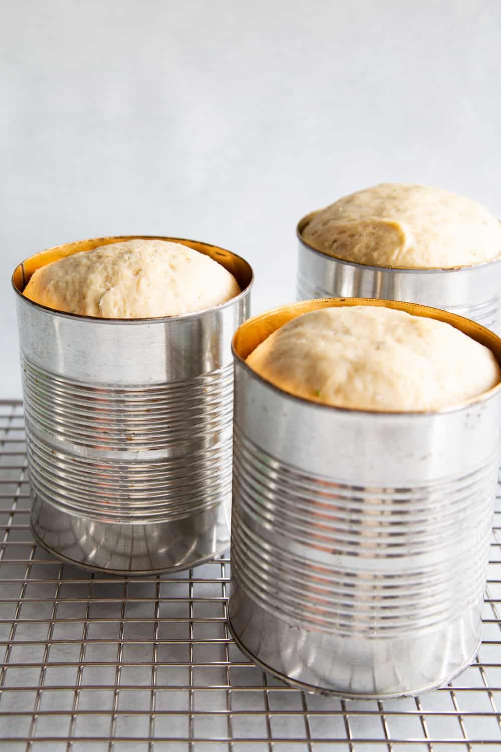 tin can sandwich bread
